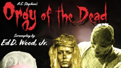 Orgy of The Dead (1965)